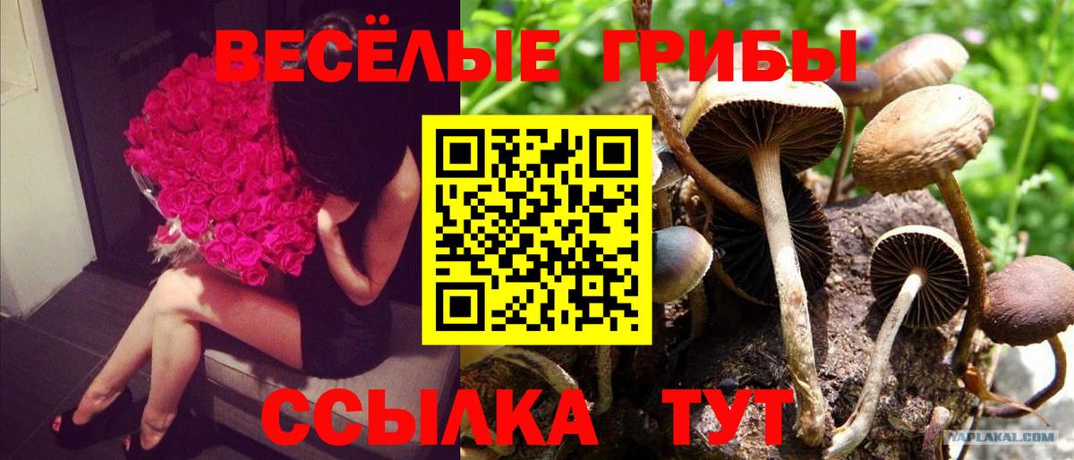 купить  сайты  Вход с VPN  Когалым  Галлюциногенные грибы мухоморы 