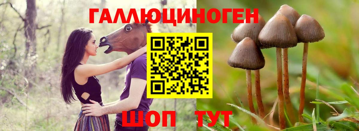 Мефедрон   Когалым  А ПВП СОЛЬ кристаллы  ГАШИШ  Лсд 25  МЕТАДОН  Вход с VPN  Кокаин  Бошки Шишки  Метамфетамин 